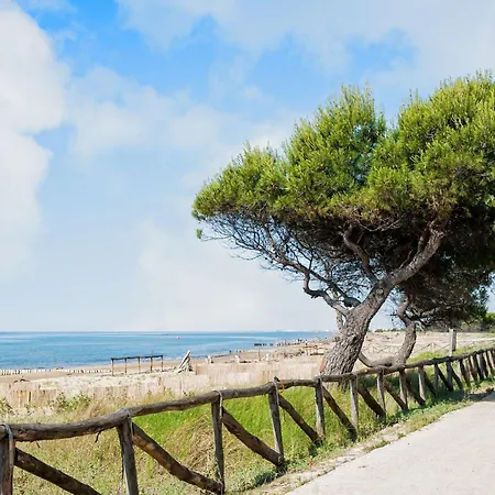 Beachfront Flat With Terrace 비비오네